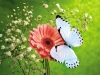 desk-top-hd-beautiful-flowers-wallpapers-2