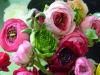 dsc02064-11