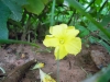 dscn2880